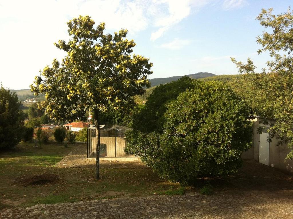 Casa Boavista Villa Paredes de Coura Luaran gambar
