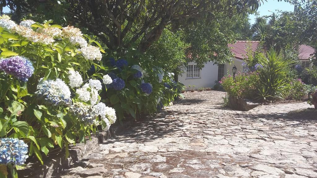 Casa Boavista Villa Paredes de Coura Luaran gambar